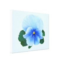 Baby Blue Pansy Gallery Wrapped Canvas