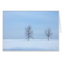 Baby Blue Winter cards