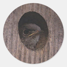 Baby Bluebird Sticker