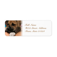 Baby Boxer Mailing Labels