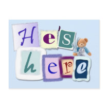 Baby boy announcement postcard