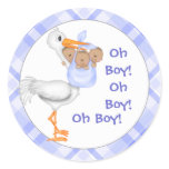 Baby Boy Announcement Stickers