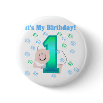 Baby Boy It's My 1st Birthday Pins