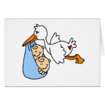 Baby Boy Twins with Stork Greeting Card