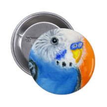 Baby Budgie Pinback Button