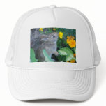 baby bunny hat