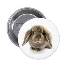 Baby Bunny Pin