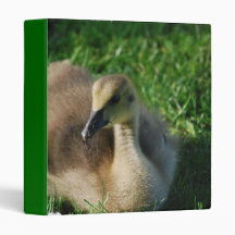 Baby Canadian Goose Binder