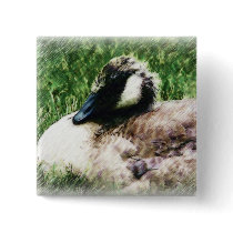 Baby Canadian Goose Photo Sketch