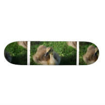 Baby Canadian Goose Skateboard