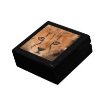 Baby Cheetah Gift Box