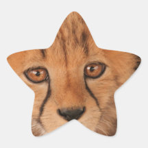 Baby Cheetah Stickers