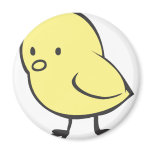 Baby Chicken magnets