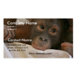 Baby Chimp Business Card