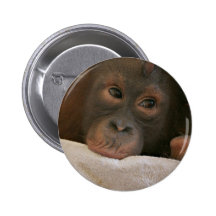 Baby Chimp Round Button