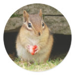 baby chipmunk with strawberry round stickers