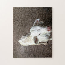 Baby Cow Puzzle
