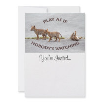 Baby Coyotes Playing Personalized Announcement