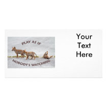 Baby Coyotes Playing Picture Card