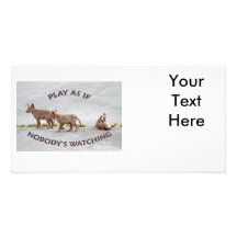 Baby Coyotes Playing Picture Card