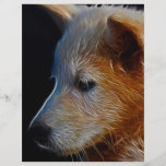 Baby  Cub Full Color Flyer