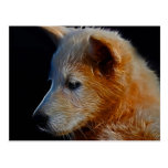 Baby  Cub Post Cards