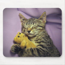 Baby Daisy Kitty Cat Kitten Sleeping w/ Teddy Bear Mousepads