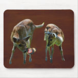 Baby Deer and butterfly Mouse Pads