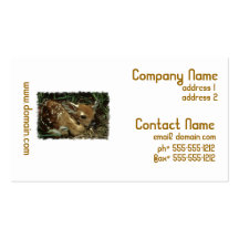 Baby Deer Business Cards