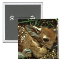 Baby Deer Button