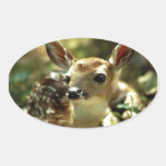 Baby Deer gifts Oval Sticker