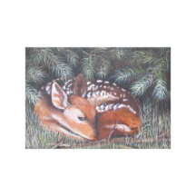 Baby Deer in the Grass Gallery Wrap Canvas