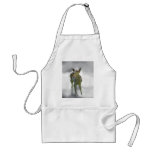 Baby deer's curiosity aprons