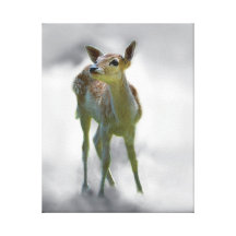 Baby deer's curiosity canvas print