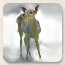 Baby deer's curiosity coasters