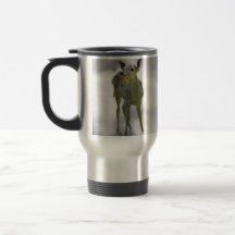 Baby deer's curiosity coffee mug