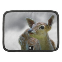 Baby deer's curiosity folio planners