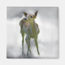Baby deer's curiosity fridge magnets