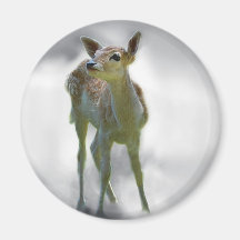 Baby deer's curiosity magnets