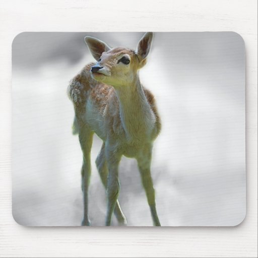 Baby deer's curiosity mouse pads