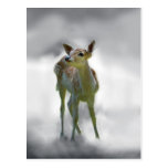 Baby deer's curiosity post card
