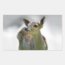 Baby deer's curiosity rectangle stickers