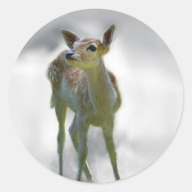 Baby deer's curiosity sticker