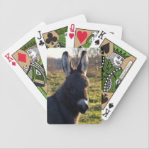 Baby Donkey "Hunter" playing cards