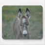 Baby Donkey's Curiosity Mousepad