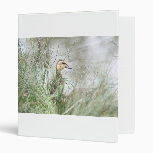 Baby duck 3 ring binders