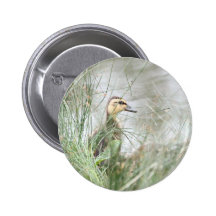 Baby duck buttons