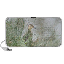 Baby duck iPod speakers