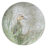 Baby duck party plates