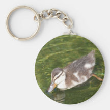 Baby Duck Swimming  Keychain